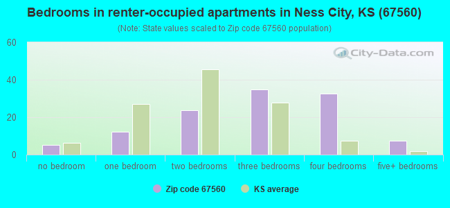 Bedrooms in renter-occupied apartments in Ness City, KS (67560) 