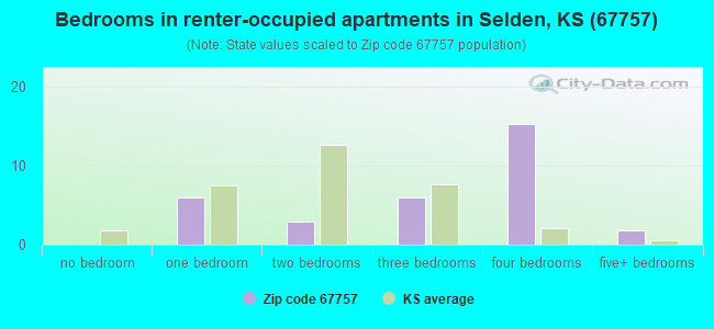 Bedrooms in renter-occupied apartments in Selden, KS (67757) 