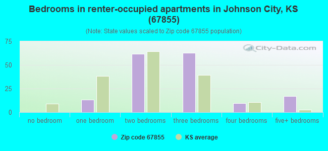 Bedrooms in renter-occupied apartments in Johnson City, KS (67855) 