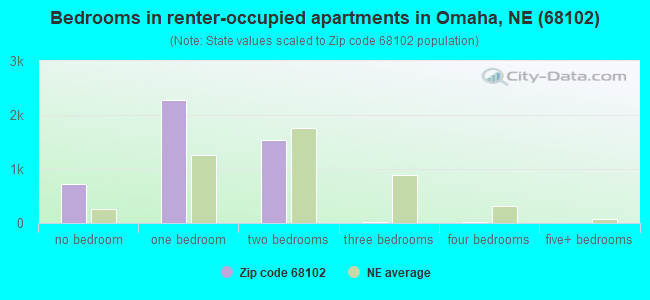 Bedrooms in renter-occupied apartments in Omaha, NE (68102) 