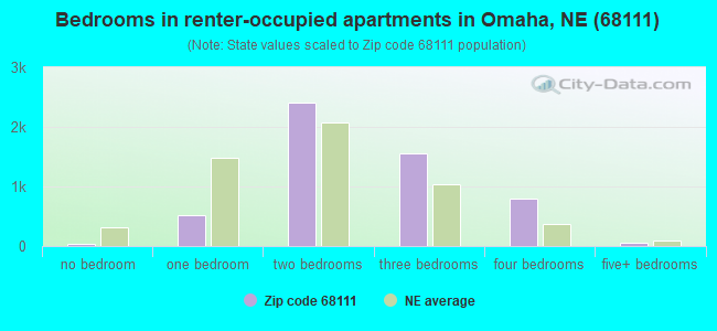 Bedrooms in renter-occupied apartments in Omaha, NE (68111) 