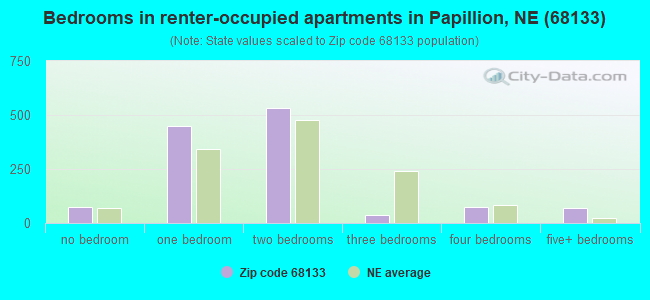 Bedrooms in renter-occupied apartments in Papillion, NE (68133) 