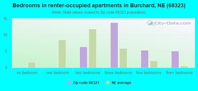 Bedrooms in renter-occupied apartments in Burchard, NE (68323) 