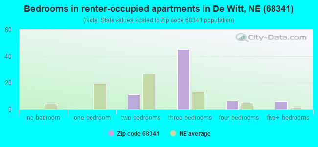 Bedrooms in renter-occupied apartments in De Witt, NE (68341) 