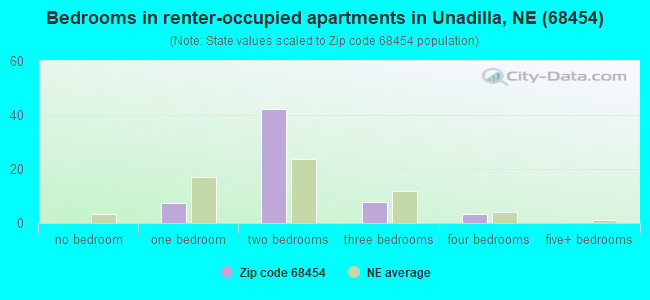Bedrooms in renter-occupied apartments in Unadilla, NE (68454) 