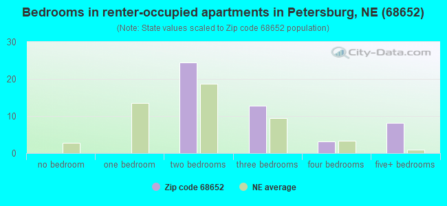 Bedrooms in renter-occupied apartments in Petersburg, NE (68652) 