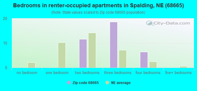 Bedrooms in renter-occupied apartments in Spalding, NE (68665) 