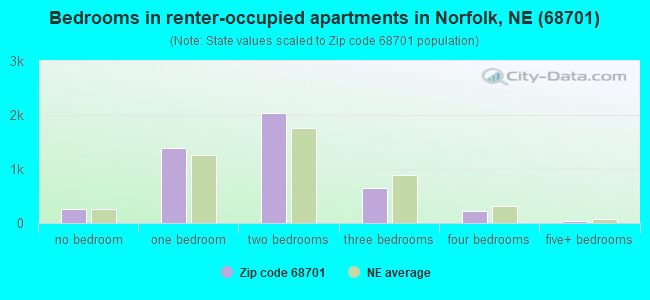 Bedrooms in renter-occupied apartments in Norfolk, NE (68701) 