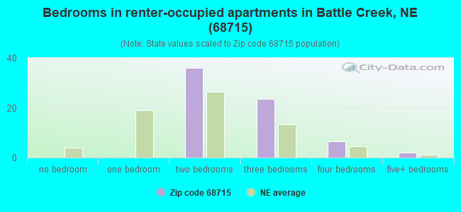 Bedrooms in renter-occupied apartments in Battle Creek, NE (68715) 