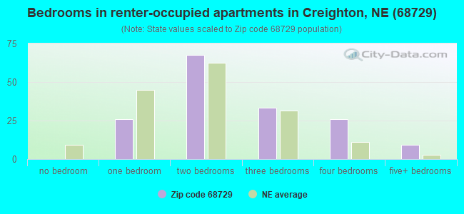 Bedrooms in renter-occupied apartments in Creighton, NE (68729) 