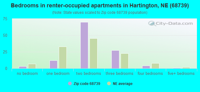 Bedrooms in renter-occupied apartments in Hartington, NE (68739) 