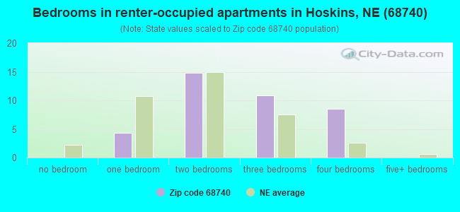 Bedrooms in renter-occupied apartments in Hoskins, NE (68740) 