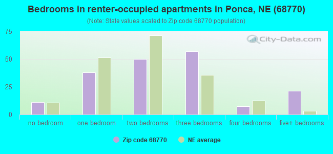 Bedrooms in renter-occupied apartments in Ponca, NE (68770) 
