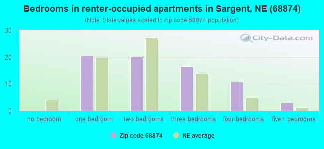 Bedrooms in renter-occupied apartments in Sargent, NE (68874) 