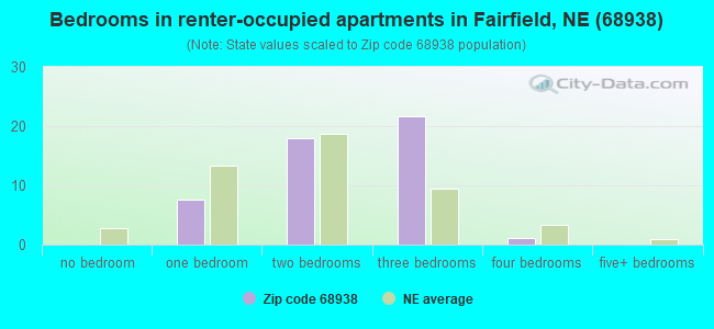Bedrooms in renter-occupied apartments in Fairfield, NE (68938) 