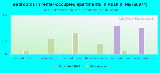 Bedrooms in renter-occupied apartments in Ruskin, NE (68974) 