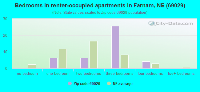 Bedrooms in renter-occupied apartments in Farnam, NE (69029) 