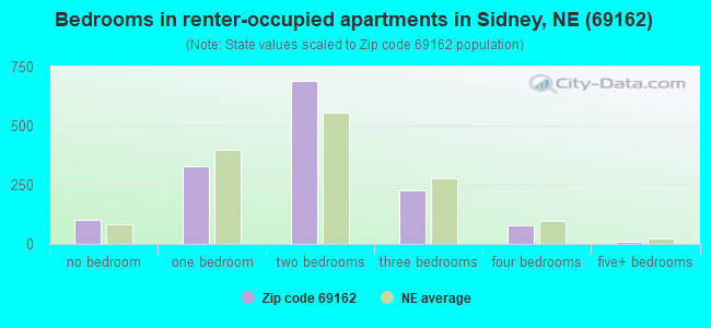 Bedrooms in renter-occupied apartments in Sidney, NE (69162) 