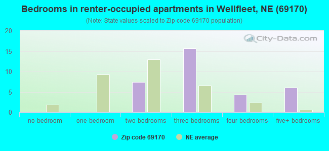 Bedrooms in renter-occupied apartments in Wellfleet, NE (69170) 