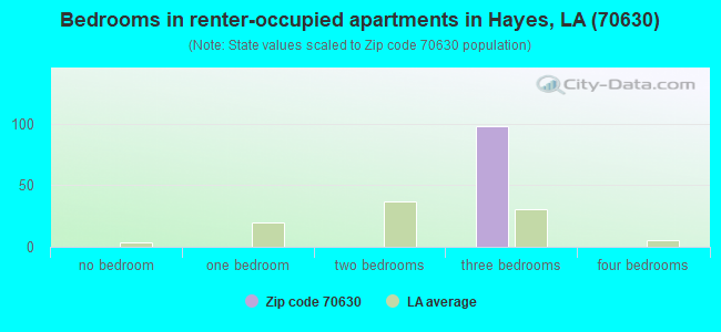Bedrooms in renter-occupied apartments in Hayes, LA (70630) 
