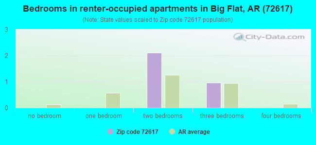 Bedrooms in renter-occupied apartments in Big Flat, AR (72617) 
