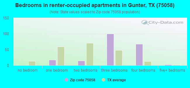 Bedrooms in renter-occupied apartments in Gunter, TX (75058) 