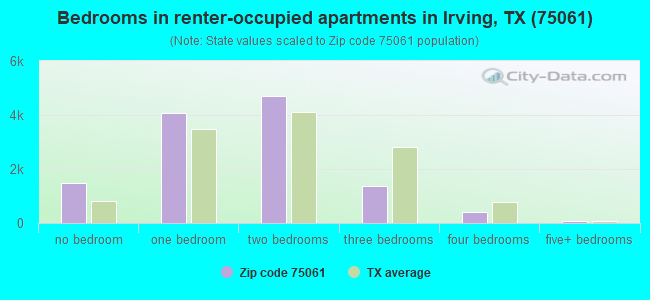 Bedrooms in renter-occupied apartments in Irving, TX (75061) 