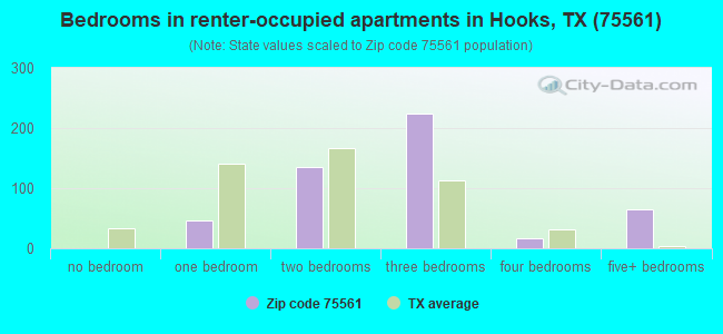 Bedrooms in renter-occupied apartments in Hooks, TX (75561) 