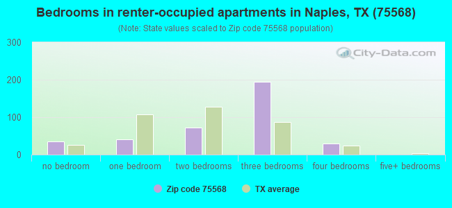 Bedrooms in renter-occupied apartments in Naples, TX (75568) 