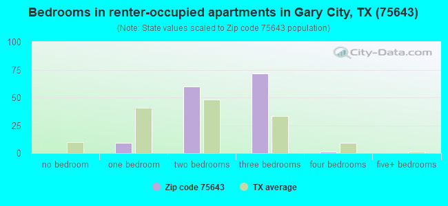 Bedrooms in renter-occupied apartments in Gary City, TX (75643) 