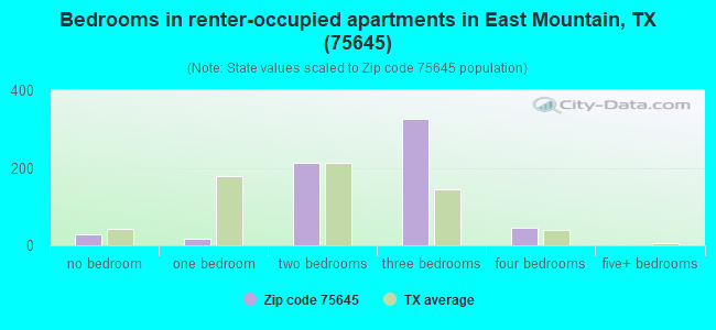 Bedrooms in renter-occupied apartments in East Mountain, TX (75645) 