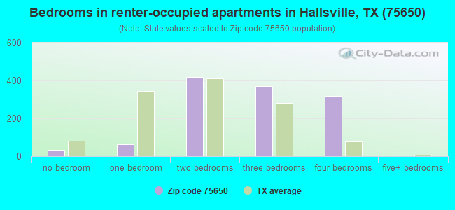 Bedrooms in renter-occupied apartments in Hallsville, TX (75650) 