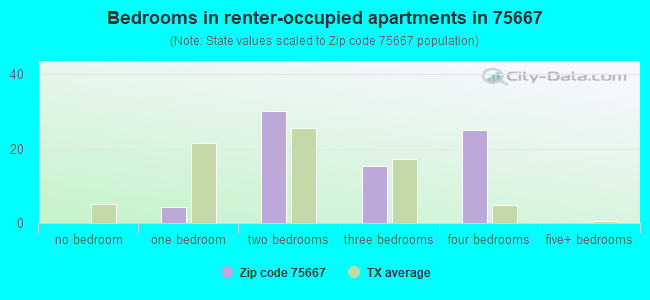 Bedrooms in renter-occupied apartments in 75667 