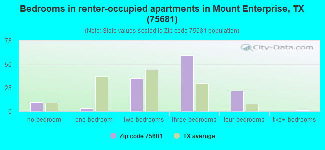 Bedrooms in renter-occupied apartments in Mount Enterprise, TX (75681) 