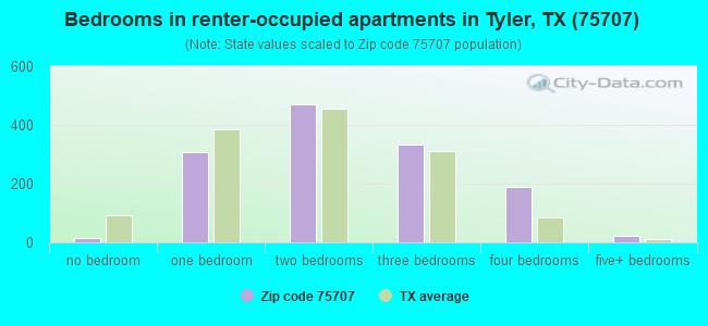 Bedrooms in renter-occupied apartments in Tyler, TX (75707) 