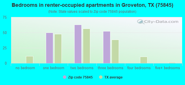 Bedrooms in renter-occupied apartments in Groveton, TX (75845) 