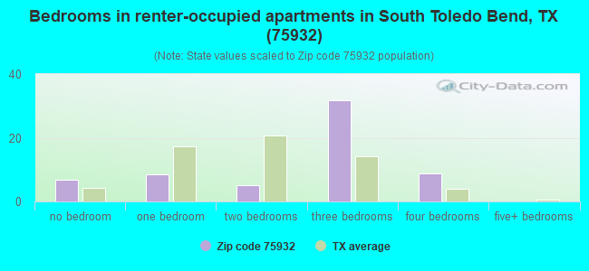 Bedrooms in renter-occupied apartments in South Toledo Bend, TX (75932) 