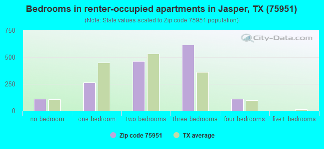 Bedrooms in renter-occupied apartments in Jasper, TX (75951) 