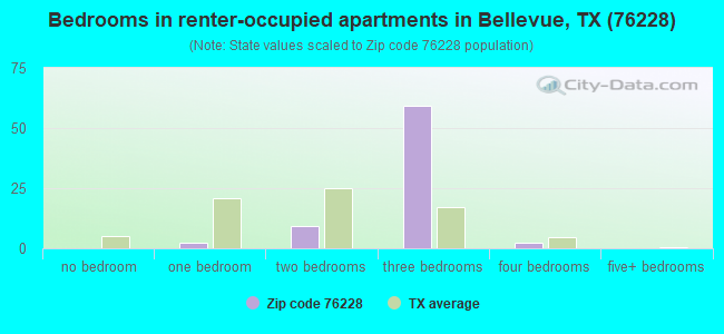 Bedrooms in renter-occupied apartments in Bellevue, TX (76228) 