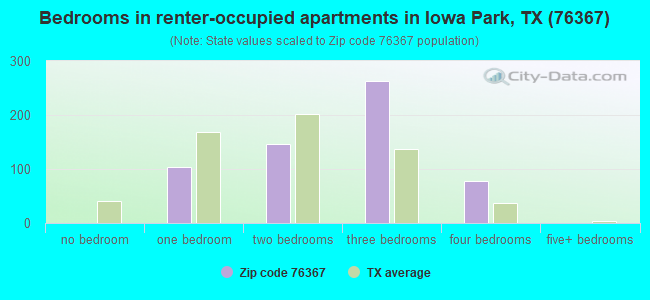 Bedrooms in renter-occupied apartments in Iowa Park, TX (76367) 