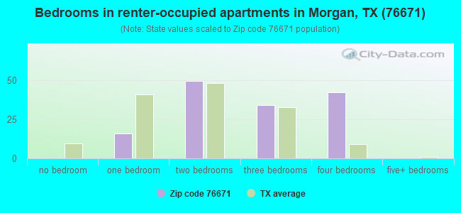 Bedrooms in renter-occupied apartments in Morgan, TX (76671) 