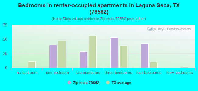 Bedrooms in renter-occupied apartments in Laguna Seca, TX (78562) 