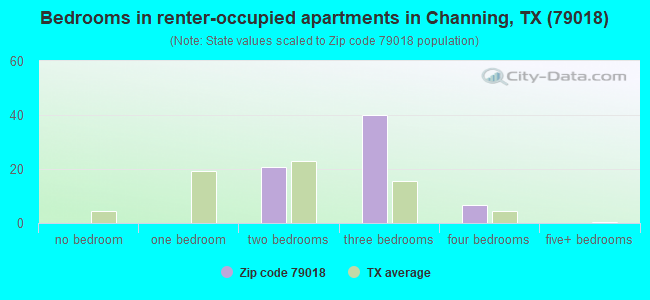 Bedrooms in renter-occupied apartments in Channing, TX (79018) 
