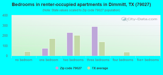 Bedrooms in renter-occupied apartments in Dimmitt, TX (79027) 