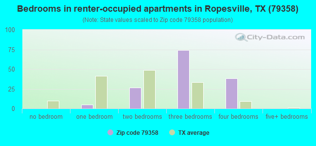 Bedrooms in renter-occupied apartments in Ropesville, TX (79358) 