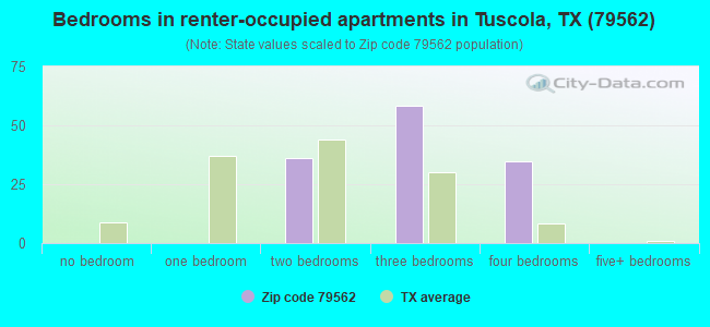 Bedrooms in renter-occupied apartments in Tuscola, TX (79562) 