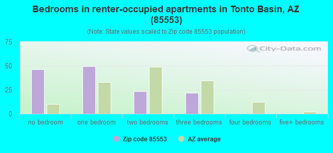 Bedrooms in renter-occupied apartments in Tonto Basin, AZ (85553) 