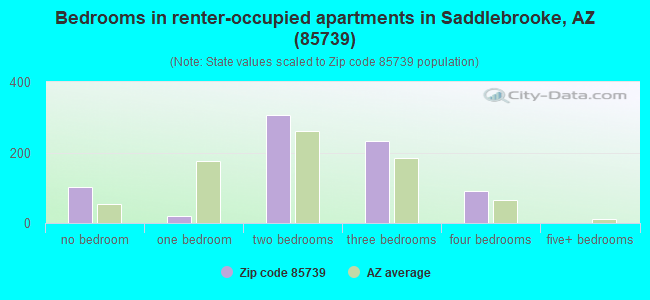 Bedrooms in renter-occupied apartments in Saddlebrooke, AZ (85739) 
