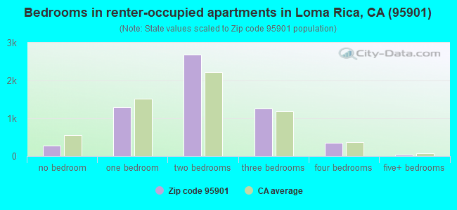 Bedrooms in renter-occupied apartments in Loma Rica, CA (95901) 