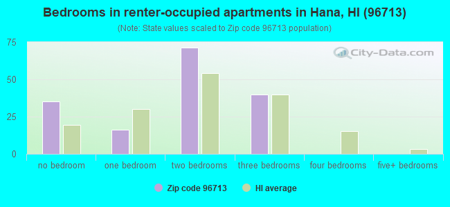 Bedrooms in renter-occupied apartments in Hana, HI (96713) 